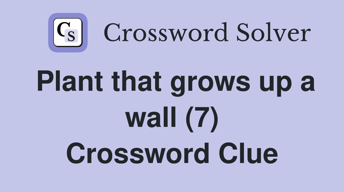 Plant that grows up a wall (7) Crossword Clue Answers Crossword Solver